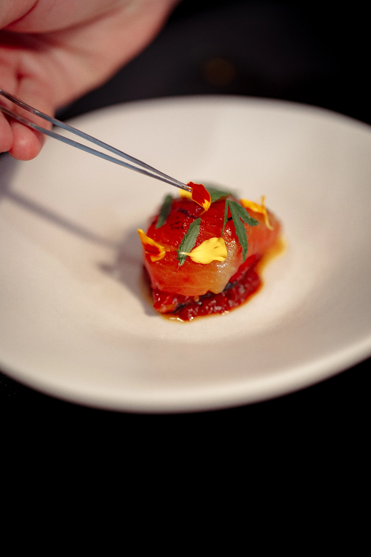 Une cuisine d'auteurs